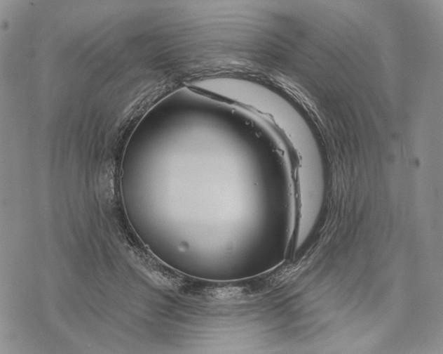 X0000073710501200608311758