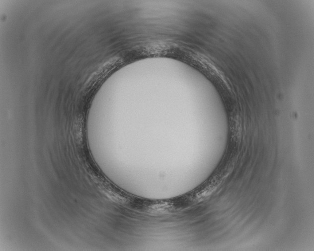 X0000073710505200608311758