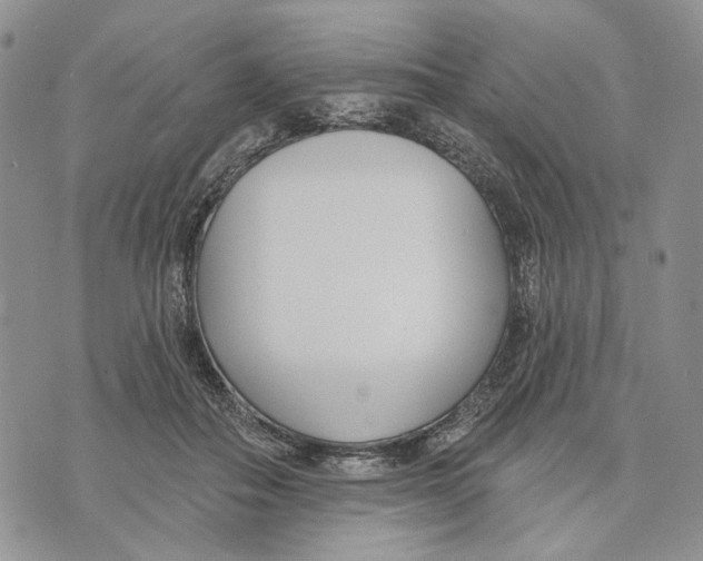 X0000073710506200608311758