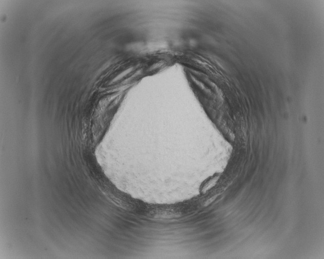 X0000073710507200608311758