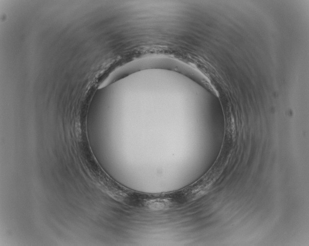 X0000073710508200608311758