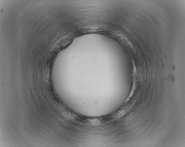 X0000073710509200608311758