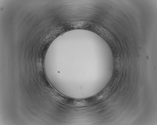 X0000073710510200608311758