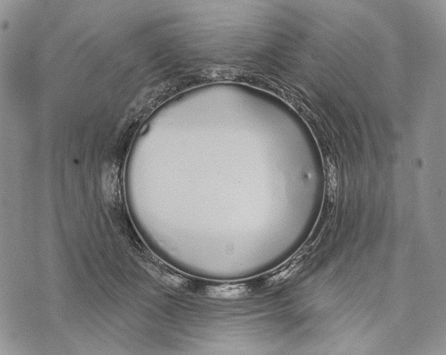 X0000073710511200608311758