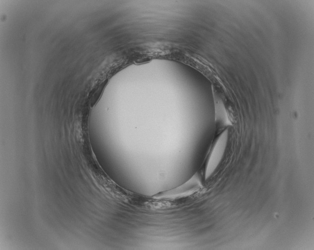 X0000073710512200608311758