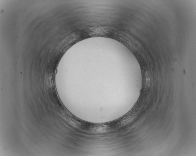 X0000073710514200608311758