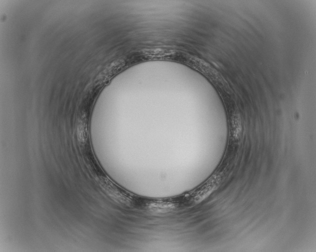 X0000073710515200608311758