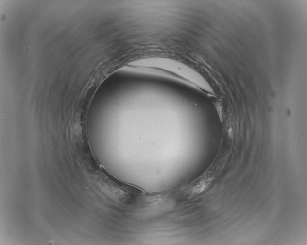 X0000073710516200608311758