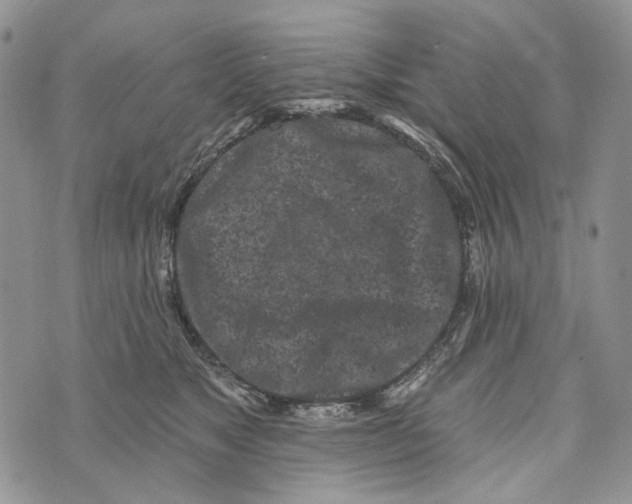 X0000073710517200608311758