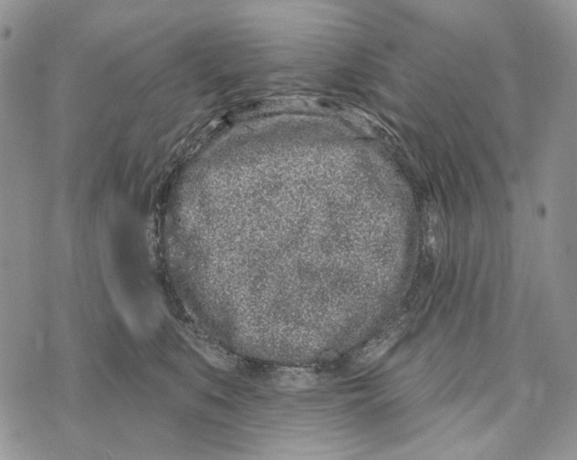 X0000073710519200608311758