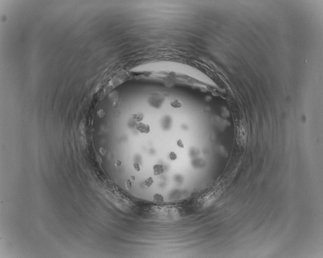 X0000073710520200608311758