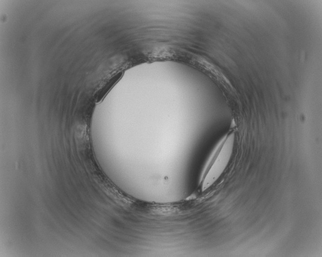 X0000073710521200608311758