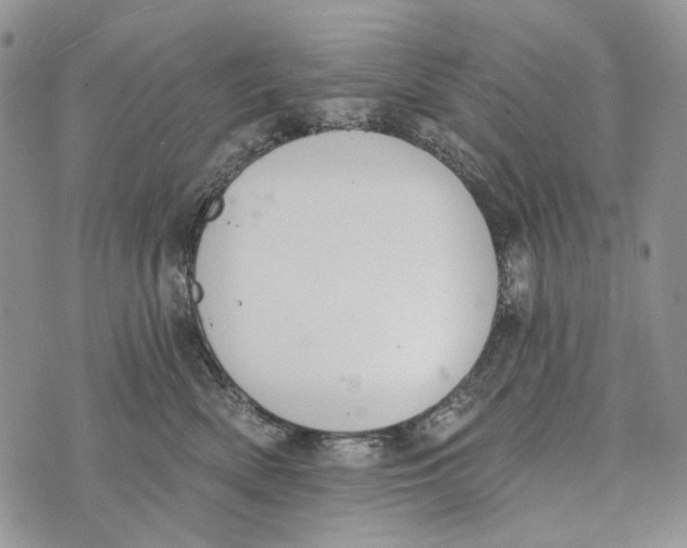 X0000073710522200608311758