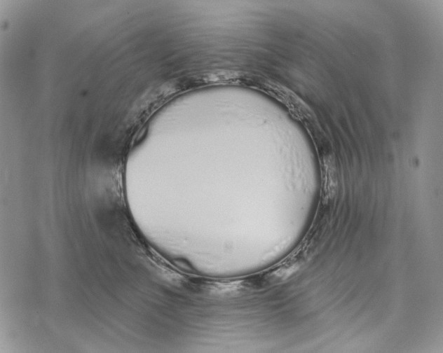 X0000073710523200608311758