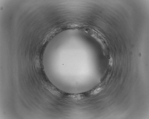 X0000073710524200608311758