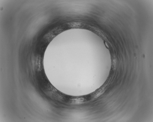 X0000073710525200608311758