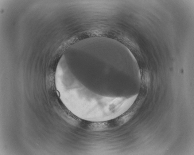 X0000073710526200608311757