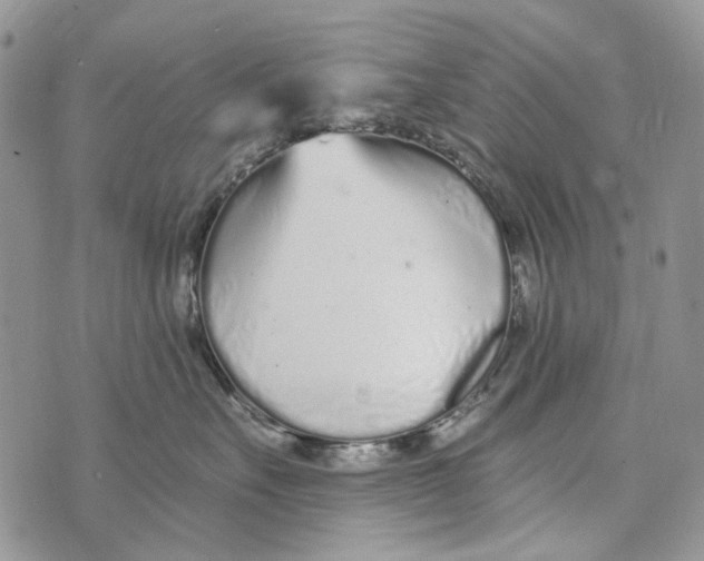 X0000073710527200608311757