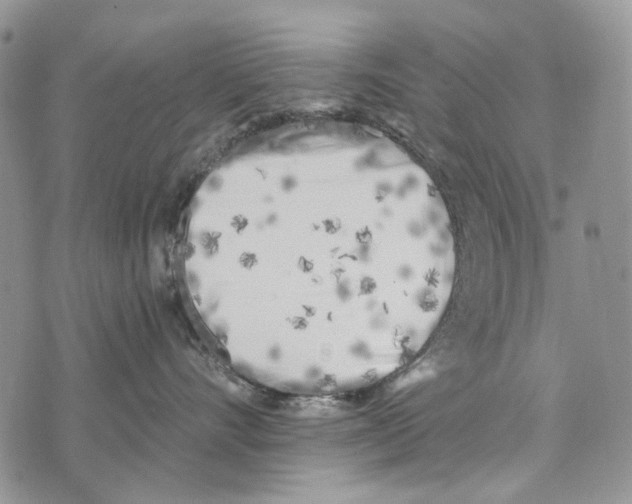 X0000073710528200608311757