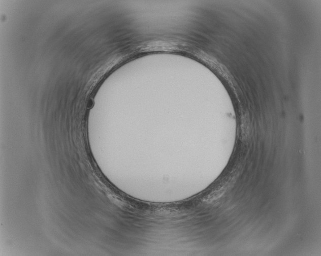 X0000073710529200608311757