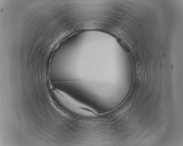 X0000073710530200608311757