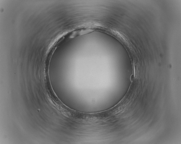 X0000073710531200608311757