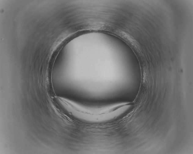 X0000073710532200608311757