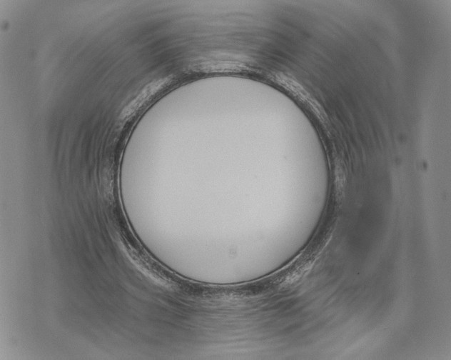 X0000073710533200608311757