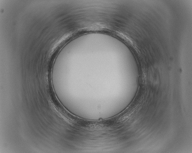 X0000073710535200608311757