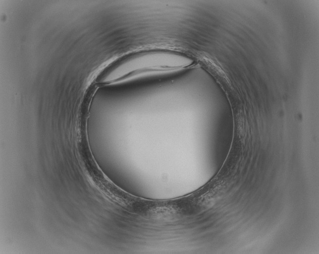 X0000073710536200608311757