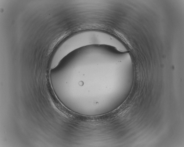 X0000073710538200608311757