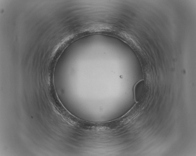 X0000073710539200608311757