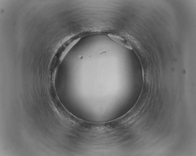 X0000073710540200608311757