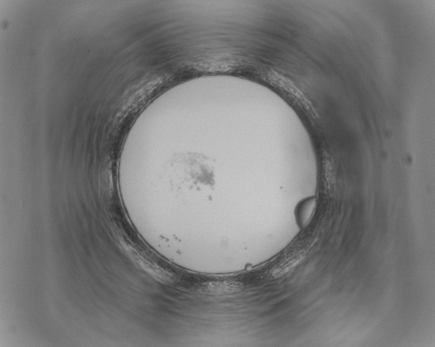 X0000073710541200608311757