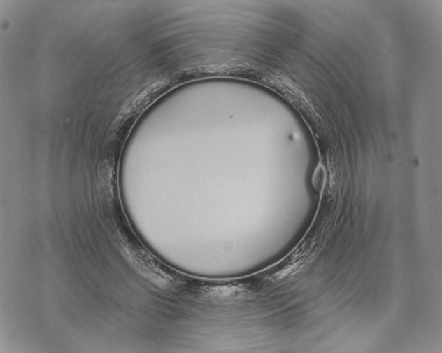 X0000073710542200608311757