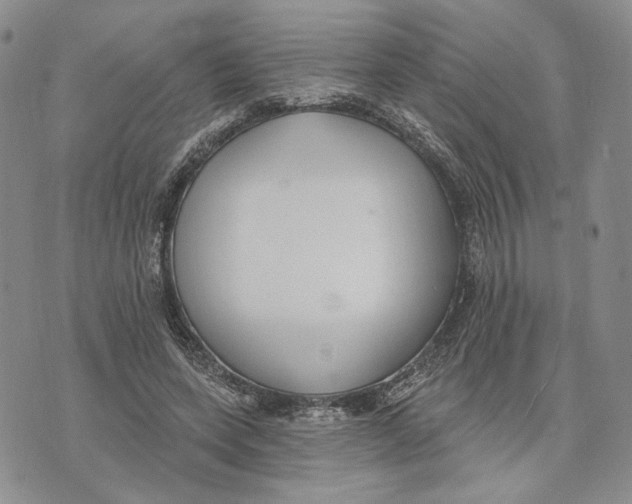 X0000073710543200608311757