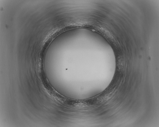 X0000073710544200608311757