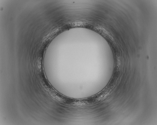 X0000073710545200608311757