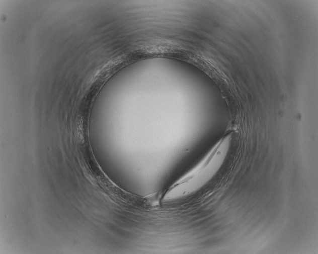 X0000073710547200608311757