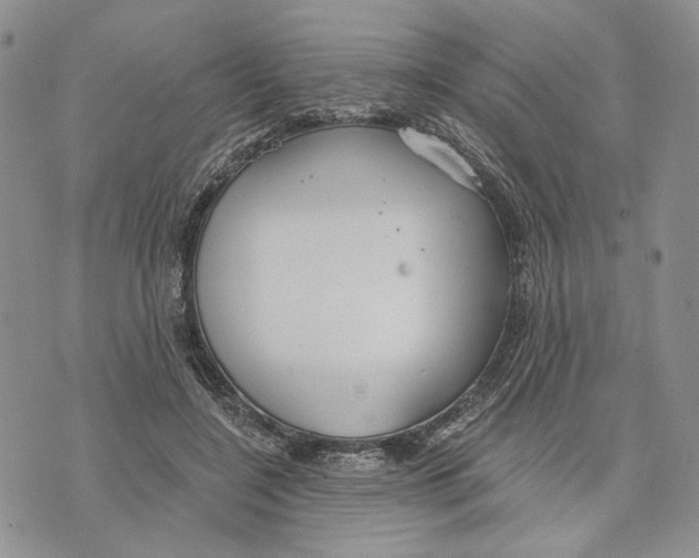 X0000073710548200608311757