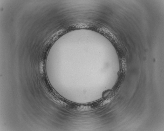 X0000073710549200608311757