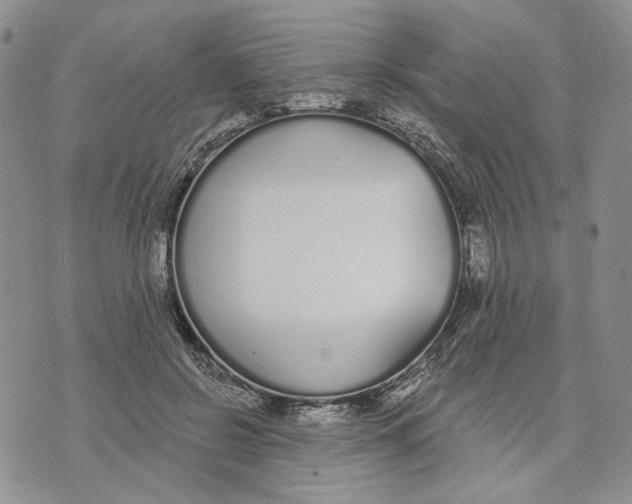 X0000073710550200608311757