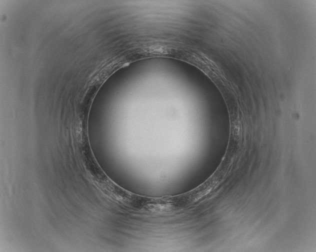 X0000073710552200608311757