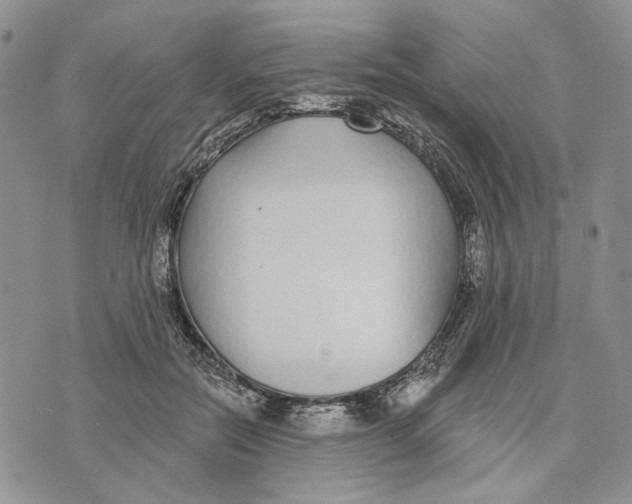 X0000073710554200608311757