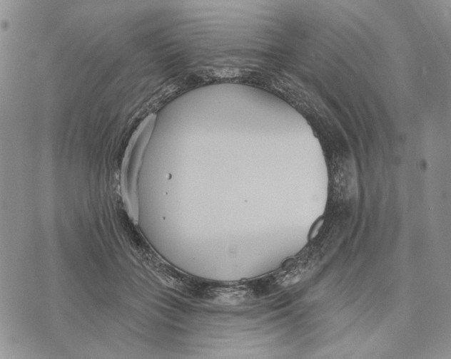 X0000073710555200608311757