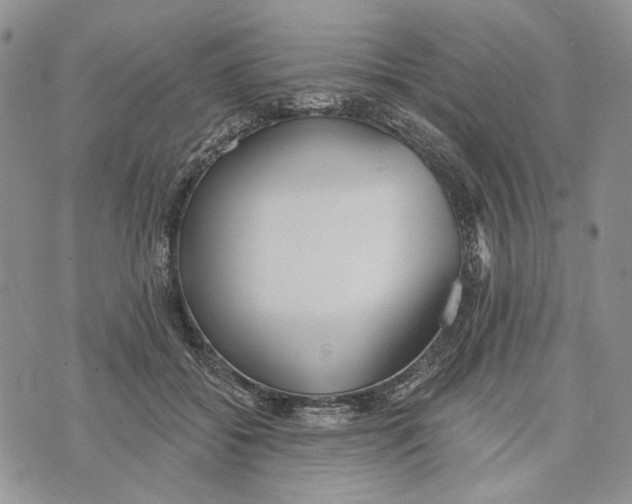 X0000073710556200608311757