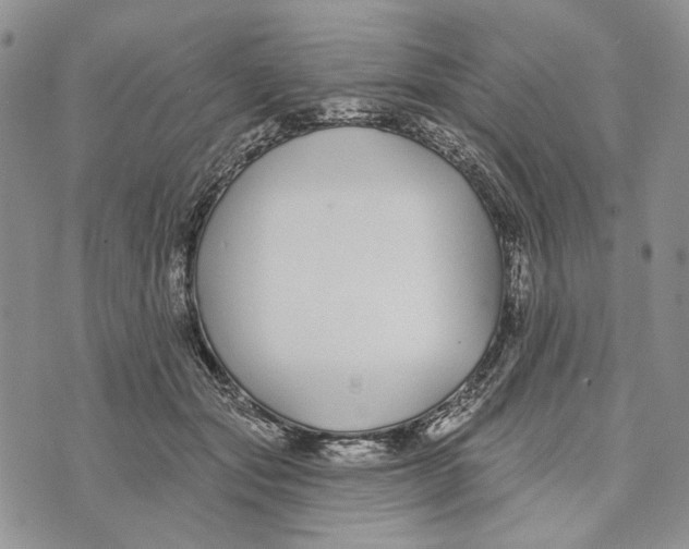 X0000073710557200608311757