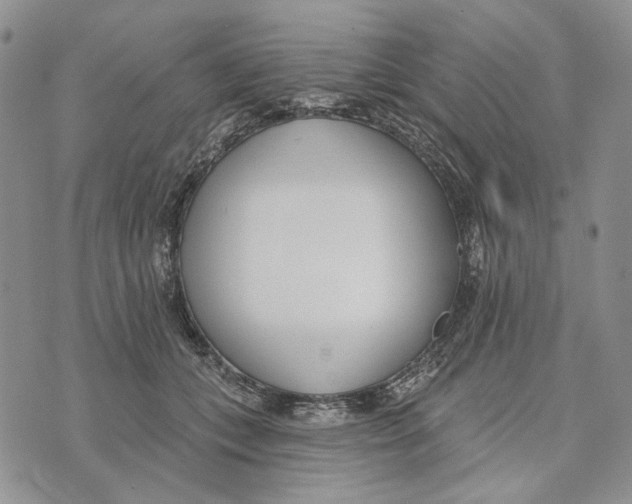 X0000073710559200608311757