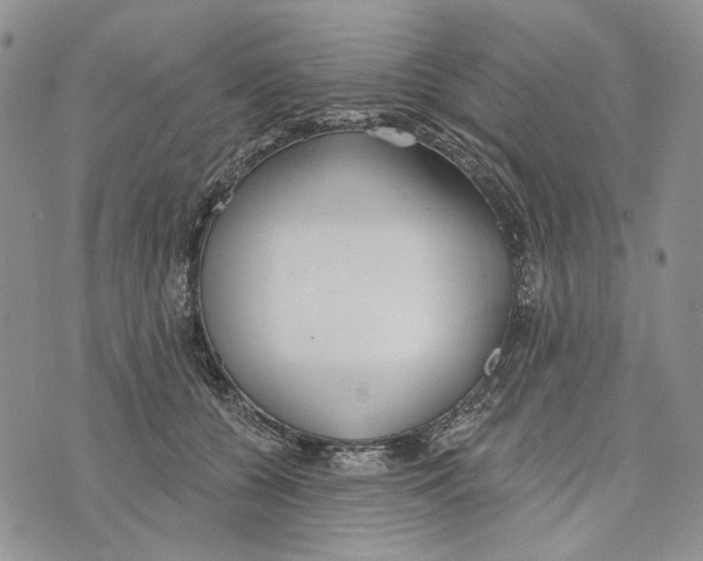 X0000073710560200608311757