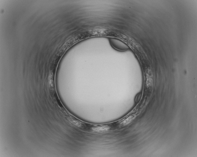 X0000073710561200608311757